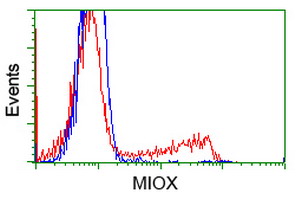KSP32 / MIOX Antibody - HEK293T cells transfected with either overexpress plasmid (Red) or empty vector control plasmid (Blue) were immunostained by anti-MIOX antibody, and then analyzed by flow cytometry.