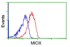 KSP32 / MIOX Antibody - Flow cytometric Analysis of Jurkat cells, using anti-MIOX antibody, (Red), compared to a nonspecific negative control antibody, (Blue).