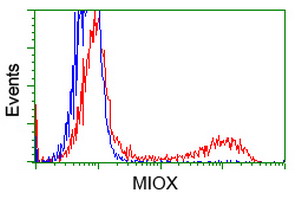 KSP32 / MIOX Antibody - HEK293T cells transfected with either overexpress plasmid (Red) or empty vector control plasmid (Blue) were immunostained by anti-MIOX antibody, and then analyzed by flow cytometry.