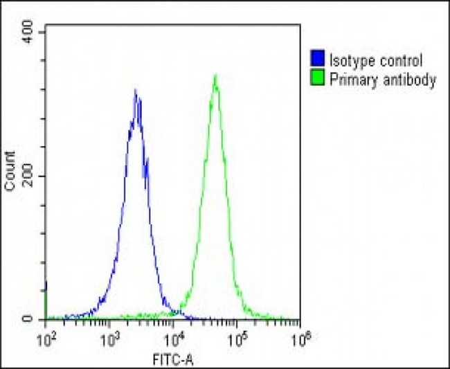 Kv10.1 / KCNH1 Antibody - Overlay histogram showing Hela cells stained with KCNH1 Antibody (C-Term) (green line). The cells were fixed with 2% paraformaldehyde (10 min) and then permeabilized with 90% methanol for 10 min. The cells were then icubated in 2% bovine serum albumin to block non-specific protein-protein interactions followed by the antibody (KCNH1 Antibody (C-Term), 1:25 dilution) for 60 min at 37°C. The secondary antibody used was Goat-Anti-Rabbit IgG, DyLight® 488 Conjugated Highly Cross-Adsorbed (OE188374) at 1/200 dilution for 40 min at 37°C. Isotype control antibody (blue line) was rabbit IgG1 (1µg/1x10^6 cells) used under the same conditions. Acquisition of >10, 000 events was performed.