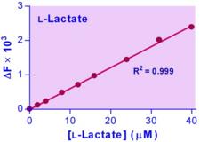 L-Lactate Assay Kit