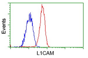 L1CAM Antibody - Flow cytometric Analysis of Jurkat cells, using anti-L1CAM antibody, (Red), compared to a nonspecific negative control antibody, (Blue).