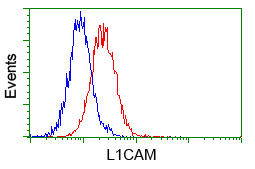 L1CAM Antibody - Flow cytometry of Jurkat cells, using anti-L1CAM antibody (Red) compared to a nonspecific negative control antibody (Blue).