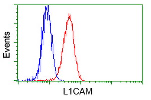 L1CAM Antibody - Flow cytometry of HeLa cells, using anti-L1CAM antibody (Red), compared to a nonspecific negative control antibody(TA50011), (Blue).