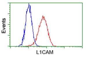 L1CAM Antibody - Flow cytometry of HeLa cells, using anti-L1CAM antibody (Red), compared to a nonspecific negative control antibody(TA50011), (Blue).