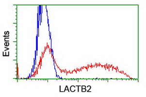 LACTB2 Antibody - HEK293T cells transfected with either overexpress plasmid (Red) or empty vector control plasmid (Blue) were immunostained by anti-LACTB2 antibody, and then analyzed by flow cytometry.