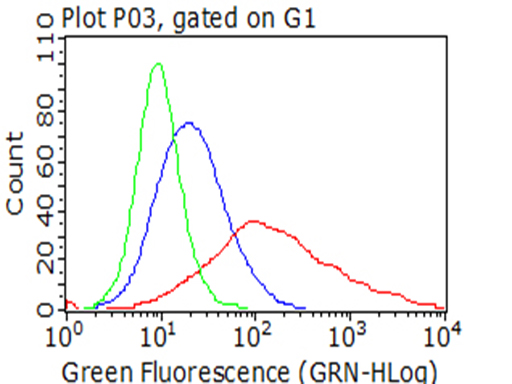 LAG3 Antibody - HEK293T cells transfected with either empty vector control plasmid(A),overexpress plasmid(B) were immunostained by anti-LAG3 antibody(, Red), compared to an IgG isotype control. (,, blue) or PBS. (black)then analyzed by flow cytometry. (1:100).