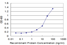 LAIR1 / CD305 Antibody - Detection limit for recombinant GST tagged LAIR1 is approximately 1 ng/ml as a capture antibody.