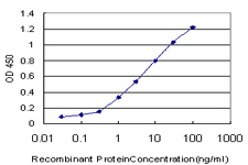 LAMA5 / Laminin Alpha 5 Antibody - Detection limit for recombinant GST tagged LAMA5 is approximately 0.03 ng/ml as a capture antibody.