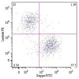 Lambda Light Chain Antibody - Human Lambda Light Chain Antibody in Flow Cytometry (Flow)