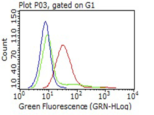 LAMP1 / CD107a Antibody - Flow cytometric Analysis of living A431 cells, using anti-LAMP1 antibody. (Red), compared to an IgG isotype control. (green), and negative control. (PBS). (Blue). (1:25)