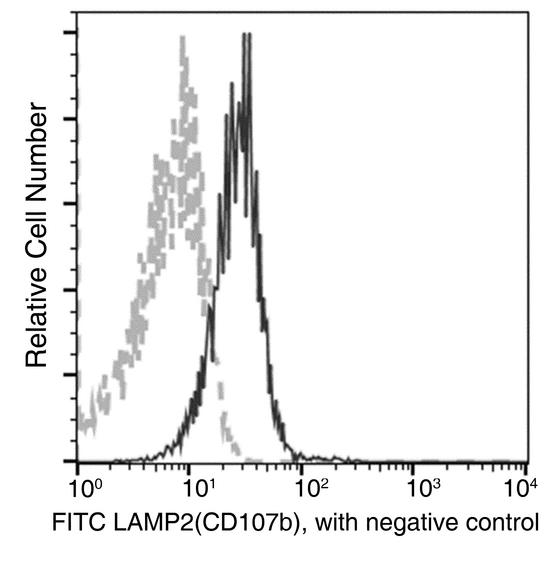 LAMP2 / CD107b Antibody - Flow cytometric analysis of Mouse LAMP2(CD107b) expression on BABL/c splenocytes. The cells were treated according to manufacturer's manual (BD Pharmingen Cat. No. 554714), stained with FITC-conjugated anti-Mouse LAMP2(CD107b). The fluorescence histograms were derived from gated events with the forward and side light-scatter characteristics of intact cells.