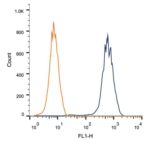 LAMP2 / CD107b Antibody - Flow Cytometry: LAMP2 Antibody (H4B4) - Intracellular flow cytometric staining of 1 x 10^6 HEK-293 cells using LAMP2 antibody (dark blue). Isotype control shown in orange. An antibody concentration of 1 ug/1x10^6 cells was used.  This image was taken for the unconjugated form of this product. Other forms have not been tested.