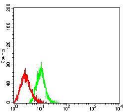 LAMP3 / CD208 Antibody - Flow cytometric analysis of HL-60 cells using CD208 mouse mAb (green) and negative control (red).