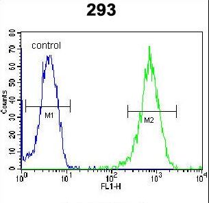 LARP6 / ACHN Antibody - LARP6 Antibody flow cytometry of 293 cells (right histogram) compared to a negative control cell (left histogram). FITC-conjugated goat-anti-rabbit secondary antibodies were used for the analysis.