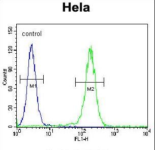 LARS / Leucyl-TRNA Synthetase Antibody - LARS Antibody flow cytometry of HeLa cells (right histogram) compared to a negative control cell (left histogram). FITC-conjugated goat-anti-rabbit secondary antibodies were used for the analysis.