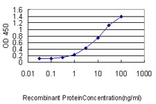 LAT Antibody - Detection limit for recombinant GST tagged LAT is approximately 0.03 ng/ml as a capture antibody.