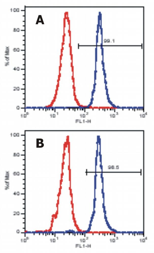 LAT Antibody - Flow Cytometry analysis of LAT expression in peripheral blood lymphocytes using anti-human LAT (LAT-01) (surface markers were stained prior to intracellular staining of human LAT).  Panel A: gate on CD4+ cells  Panel B: gate on CD8+ cells