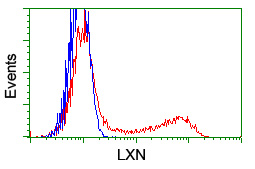 Latexin / MUM Antibody - HEK293T cells transfected with either overexpress plasmid (Red) or empty vector control plasmid (Blue) were immunostained by anti-LXN antibody, and then analyzed by flow cytometry.