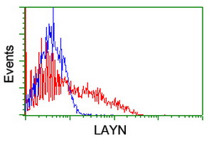 Layilin / LAYN Antibody - HEK293T cells transfected with either overexpress plasmid (Red) or empty vector control plasmid (Blue) were immunostained by anti-LAYN antibody, and then analyzed by flow cytometry.
