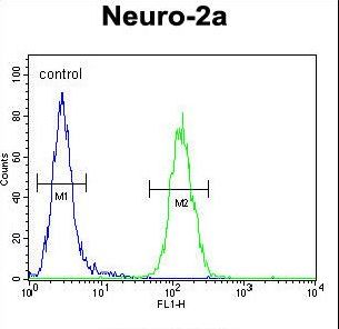 LCN10 Antibody - LCN10 Antibody flow cytometry of Neuro-2a cells (right histogram) compared to a negative control cell (left histogram). FITC-conjugated goat-anti-rabbit secondary antibodies were used for the analysis.