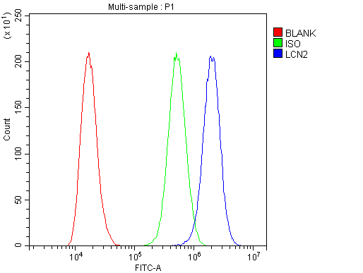 LCN2 / Lipocalin 2 / NGAL Antibody - Flow Cytometry analysis of A431 cells using anti-Lipocalin 2 antibody. Overlay histogram showing A431 cells stained with anti-Lipocalin 2 antibody (Blue line). The cells were blocked with 10% normal goat serum. And then incubated with rabbit anti-Lipocalin 2 Antibody (1µg/10E6 cells) for 30 min at 20°C. DyLight®488 conjugated goat anti-rabbit IgG (5-10µg/10E6 cells) was used as secondary antibody for 30 minutes at 20°C. Isotype control antibody (Green line) was rabbit IgG (1µg/10E6 cells) used under the same conditions. Unlabelled sample (Red line) was also used as a control.