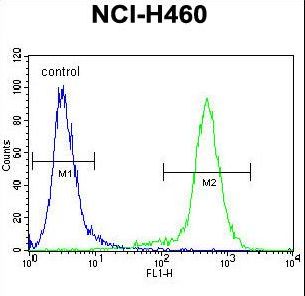 LCN9 Antibody - LCN9 Antibody flow cytometry of NCI-H460 cells (right histogram) compared to a negative control cell (left histogram). FITC-conjugated goat-anti-rabbit secondary antibodies were used for the analysis.