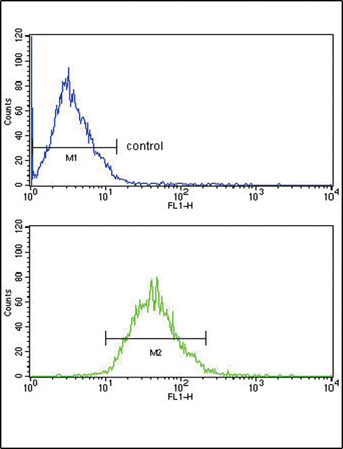 LDLR / LDL Receptor Antibody - LDLR Antibody FC of MCF-7 cells (bottom histogram) compared to a negative control cell (top histogram). FITC-conjugated goat-anti-rabbit secondary antibodies were used for the analysis.