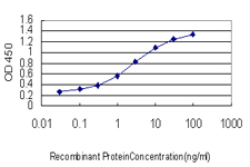 LDLR / LDL Receptor Antibody - Detection limit for recombinant GST tagged LDLR is approximately 0.3 ng/ml as a capture antibody.