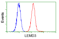 LEMD3 / MAN1 Antibody - Flow cytometry of HeLa cells, using anti-LEMD3 antibody, (Red) compared to a nonspecific negative control antibody (Blue).