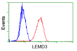 LEMD3 / MAN1 Antibody - Flow cytometric analysis of Jurkat cells, using anti-LEMD3 antibody, (Red) compared to a nonspecific negative control antibody (Blue).
