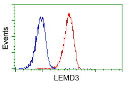 LEMD3 / MAN1 Antibody - Flow cytometry of Jurkat cells, using anti-LEMD3 antibody, (Red) compared to a nonspecific negative control antibody (Blue).