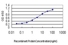 Leptin Antibody - Detection limit for recombinant GST tagged LEP is approximately 0.1 ng/ml as a capture antibody.