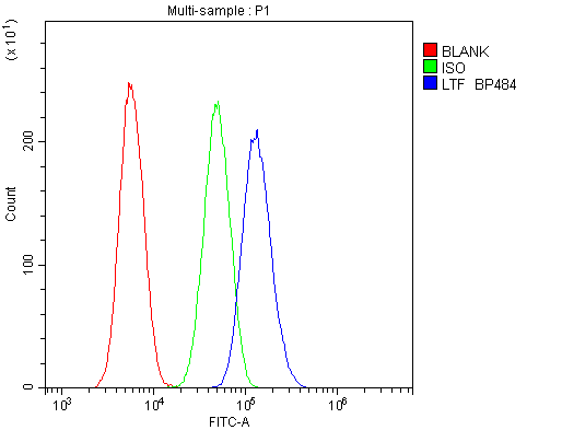 LF / LTF / Lactoferrin Antibody - Flow Cytometry analysis of SiHa cells using anti-Lactoferrin antibody. Overlay histogram showing SiHa cells stained with anti-Lactoferrin antibody (Blue line). The cells were blocked with 10% normal goat serum. And then incubated with rabbit anti-Lactoferrin Antibody (1µg/10E6 cells) for 30 min at 20°C. DyLight®488 conjugated goat anti-rabbit IgG (5-10µg/10E6 cells) was used as secondary antibody for 30 minutes at 20°C. Isotype control antibody (Green line) was rabbit IgG (1µg/10E6 cells) used under the same conditions. Unlabelled sample (Red line) was also used as a control.