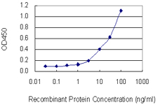 LGALS1 / Galectin 1 Antibody - Detection limit for recombinant GST tagged LGALS1 is 1 ng/ml as a capture antibody.