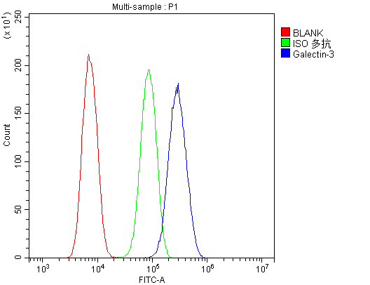 LGALS3 / Galectin 3 Antibody - Flow Cytometry analysis of U20S cells using anti-Galectin-3 antibody. Overlay histogram showing U20S cells stained with anti-Galectin-3 antibody (Blue line). The cells were blocked with 10% normal goat serum. And then incubated with rabbit anti-Galectin-3 Antibody (1µg/10E6 cells) for 30 min at 20°C. DyLight®488 conjugated goat anti-rabbit IgG (5-10µg/10E6 cells) was used as secondary antibody for 30 minutes at 20°C. Isotype control antibody (Green line) was rabbit IgG (1µg/10E6 cells) used under the same conditions. Unlabelled sample (Red line) was also used as a control.