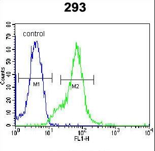 LGALS9B Antibody - LGALS9B Antibody flow cytometry of 293 cells (right histogram) compared to a negative control cell (left histogram). FITC-conjugated goat-anti-rabbit secondary antibodies were used for the analysis.