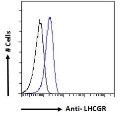 LHCGR / LHR / LH Receptor Antibody - Goat Anti-LHCGR Antibody Flow cytometric analysis of paraformaldehyde fixed Jurkat cells (blue line), permeabilized with 0.5% Triton. Primary incubation overnight (10ug/ml) followed by Alexa Fluor 488 secondary antibody (1ug/ml). IgG control: Unimmunized goat IgG (black line) followed by Alexa Fluor 488 secondary antibody.