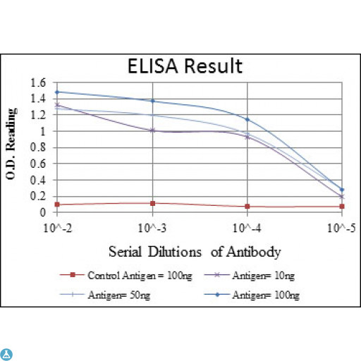 LHX2 Antibody - ELISA analysis of LHX2 antibody.
