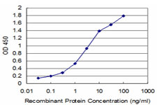 LHX4 Antibody - Detection limit for recombinant GST tagged LHX4 is approximately 0.1 ng/ml as a capture antibody.