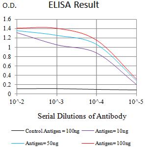 LILRA2 / CD85h / ILT1 Antibody - Black line: Control Antigen (100 ng);Purple line: Antigen (10ng); Blue line: Antigen (50 ng); Red line:Antigen (100 ng)