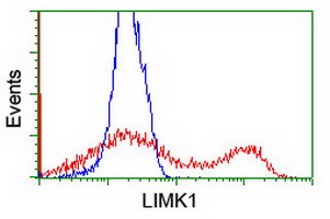 LIMK1 / LIMK Antibody - HEK293T cells transfected with either overexpress plasmid (Red) or empty vector control plasmid (Blue) were immunostained by anti-LIMK1 antibody, and then analyzed by flow cytometry.