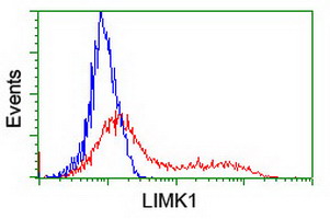 LIMK1 / LIMK Antibody - HEK293T cells transfected with either overexpress plasmid (Red) or empty vector control plasmid (Blue) were immunostained by anti-LIMK1 antibody, and then analyzed by flow cytometry.
