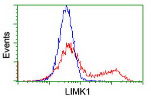 LIMK1 / LIMK Antibody - HEK293T cells transfected with either overexpress plasmid (Red) or empty vector control plasmid (Blue) were immunostained by anti-LIMK1 antibody, and then analyzed by flow cytometry.