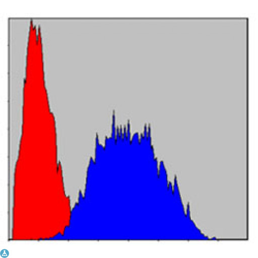 LIMS1 / PINCH Antibody - Flow cytometric (FCM) analysis of HeLa cells using Pinch-1 Monoclonal Antibody (blue) and negative control (red).