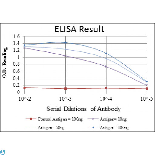 LIMS1 / PINCH Antibody - ELISA analysis of Pinch-1 antibody.