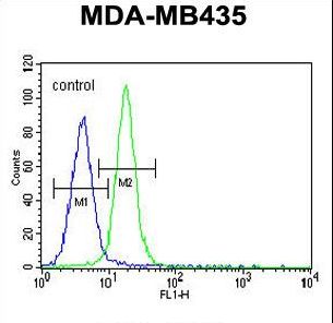 LIN28A / LIN28 Antibody - LIN28 Antibody flow cytometry of MDA-MB435 cells (right histogram) compared to a negative control cell (left histogram). FITC-conjugated goat-anti-rabbit secondary antibodies were used for the analysis.