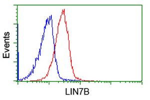 LIN7B Antibody - Flow cytometry of Jurkat cells, using anti-LIN7B antibody (Red), compared to a nonspecific negative control antibody (Blue).