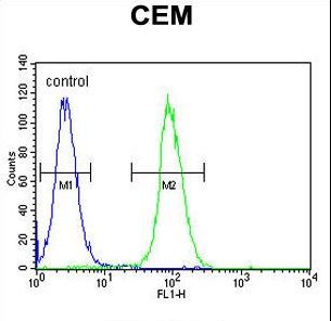 LIPC / Hepatic Lipase Antibody - LIPC Antibody flow cytometry of CEM cells (right histogram) compared to a negative control cell (left histogram). FITC-conjugated goat-anti-rabbit secondary antibodies were used for the analysis.