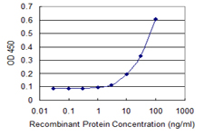 LIPG / Endothelial Lipase Antibody - Detection limit for recombinant GST tagged LIPG is 3 ng/ml as a capture antibody.